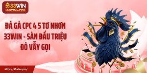 Đá Gà CPC 4 5 Tơ Nhơn 33WIN - Sàn Đấu Triệu Đô Vẫy Gọi